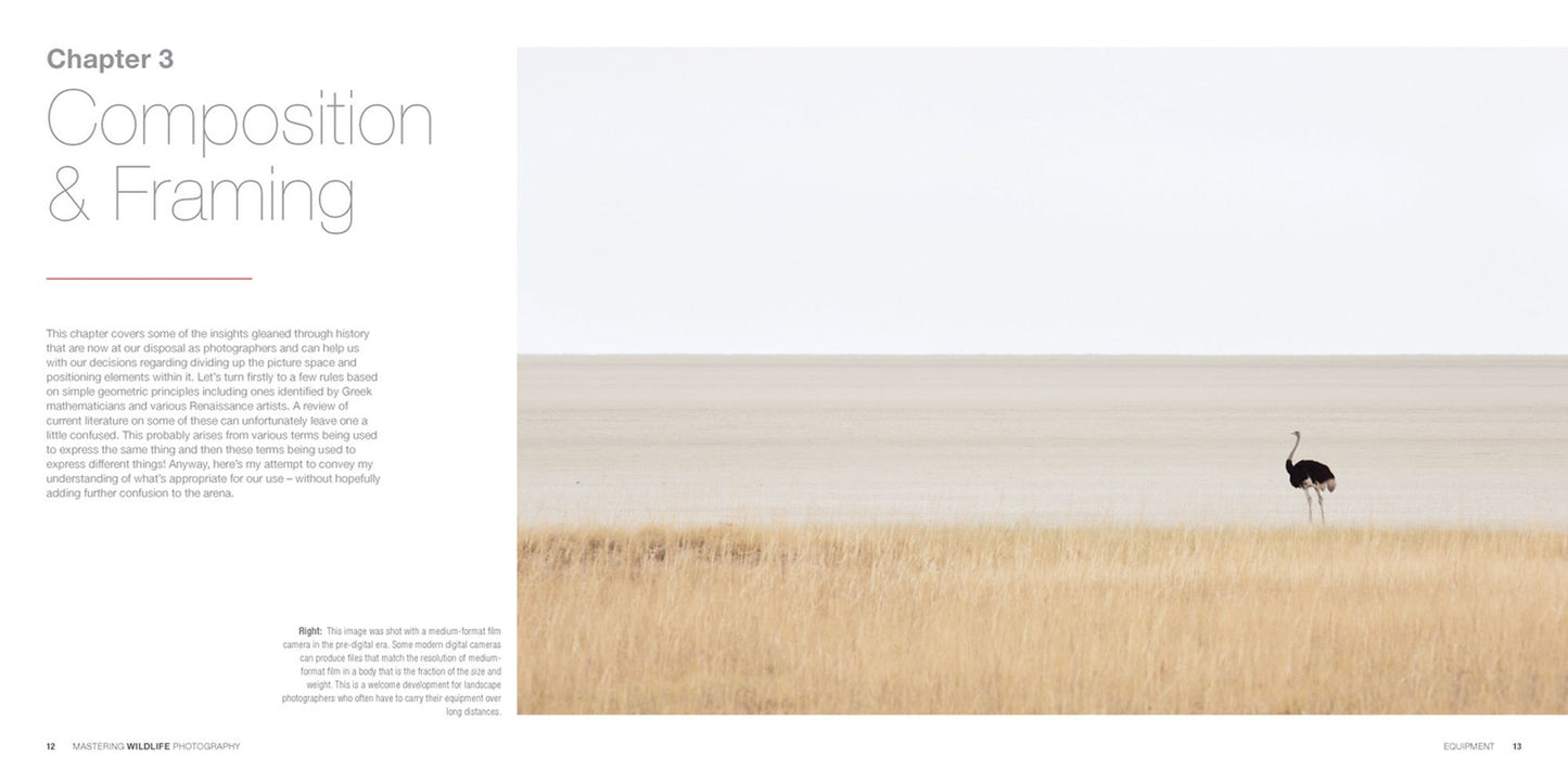 Mastering Wildlife Photography