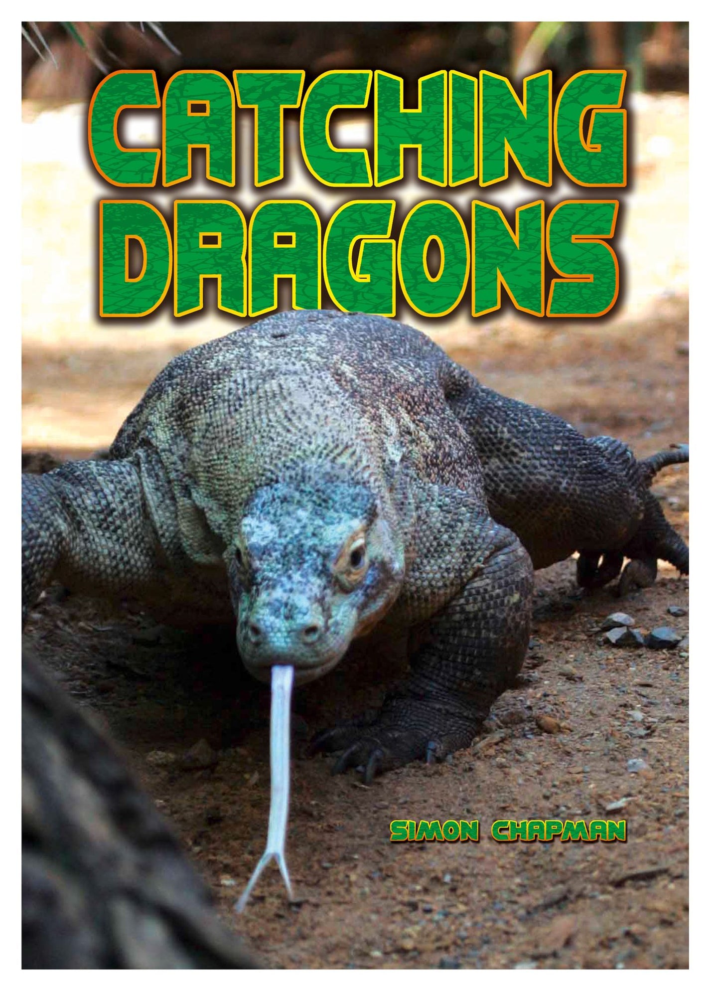 Catching Dragons (PagePerfect NOOK Book)