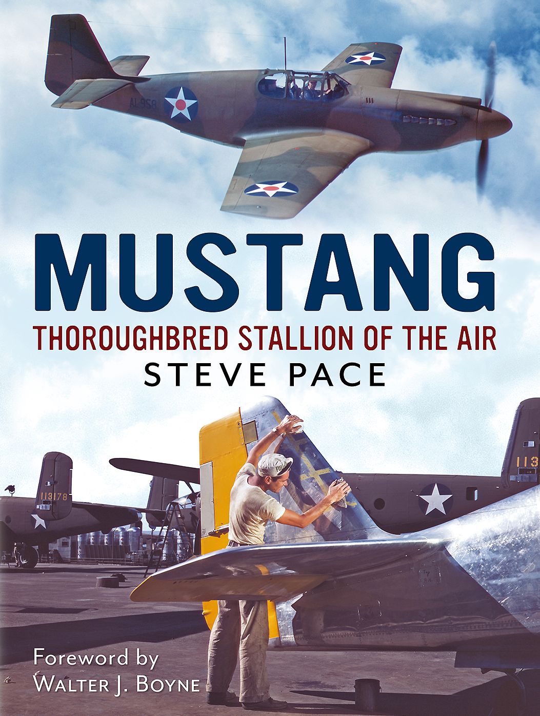 Mustang: Thoroughbred Stallion