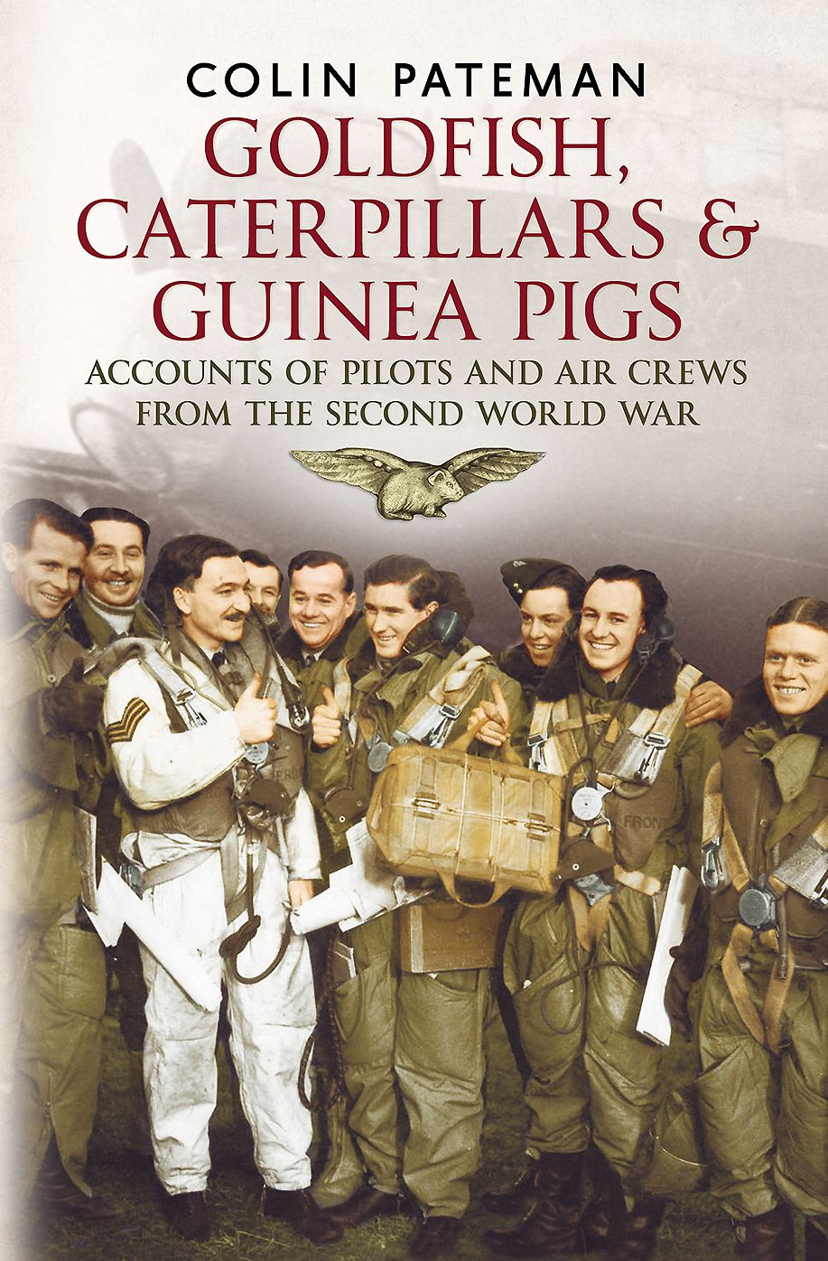 Goldfish Caterpillars and Guinea Pigs: Accounts of Pilots and Air Crews from World War II