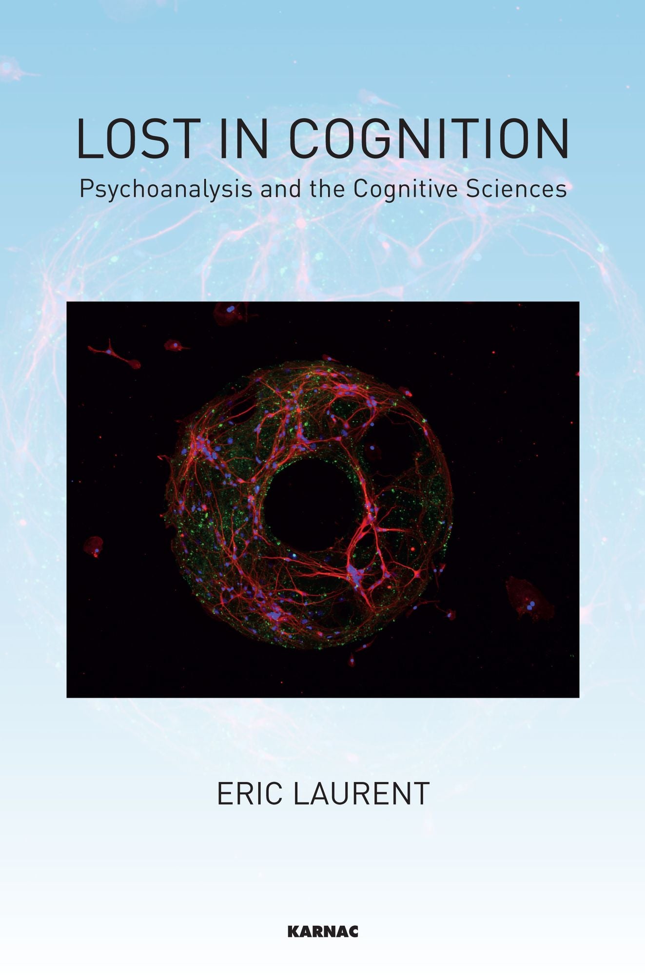 Lost in Cognition: Psychoanalysis and Neurosciences
