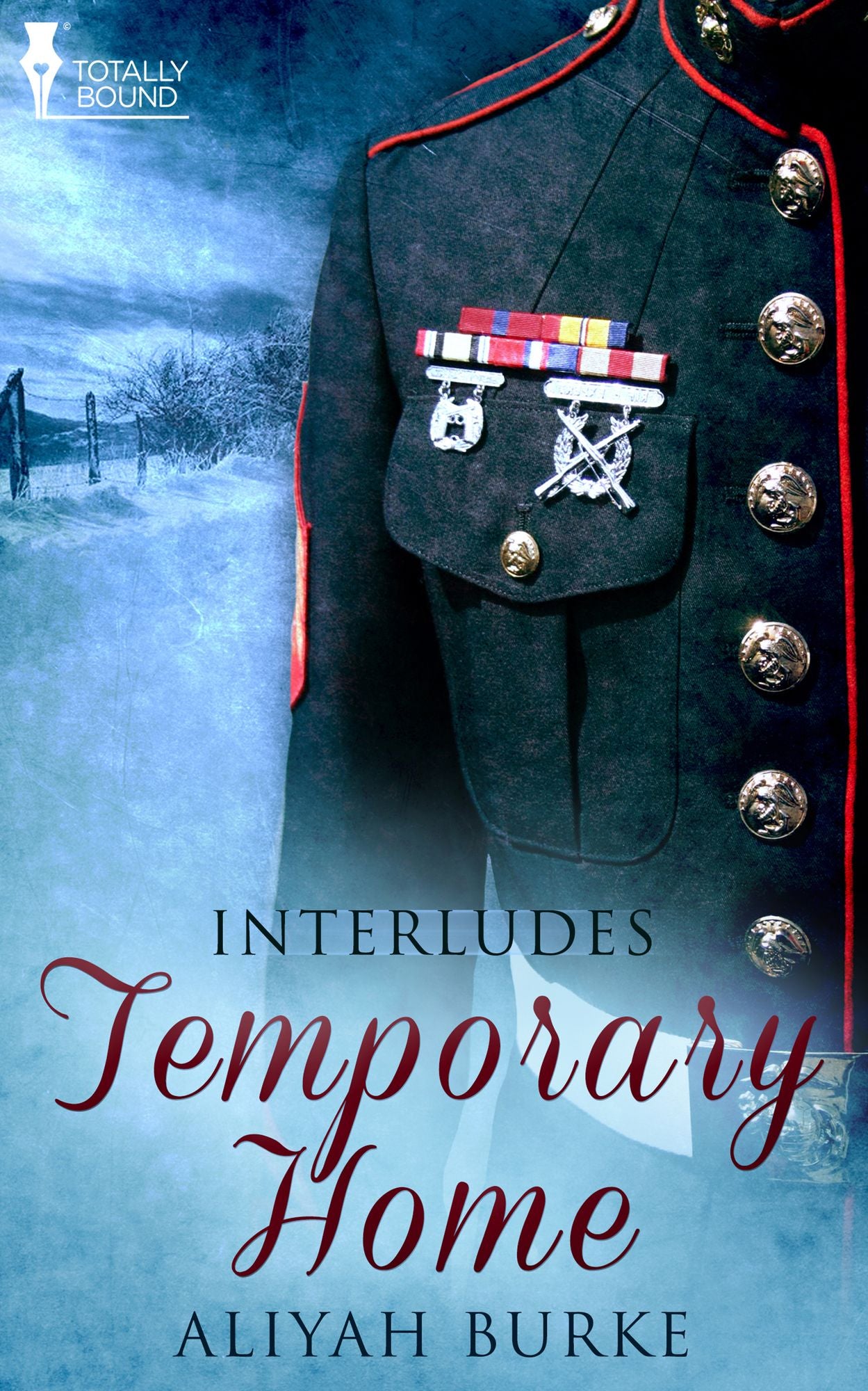 Temporary Home: An Interracial Military Romance