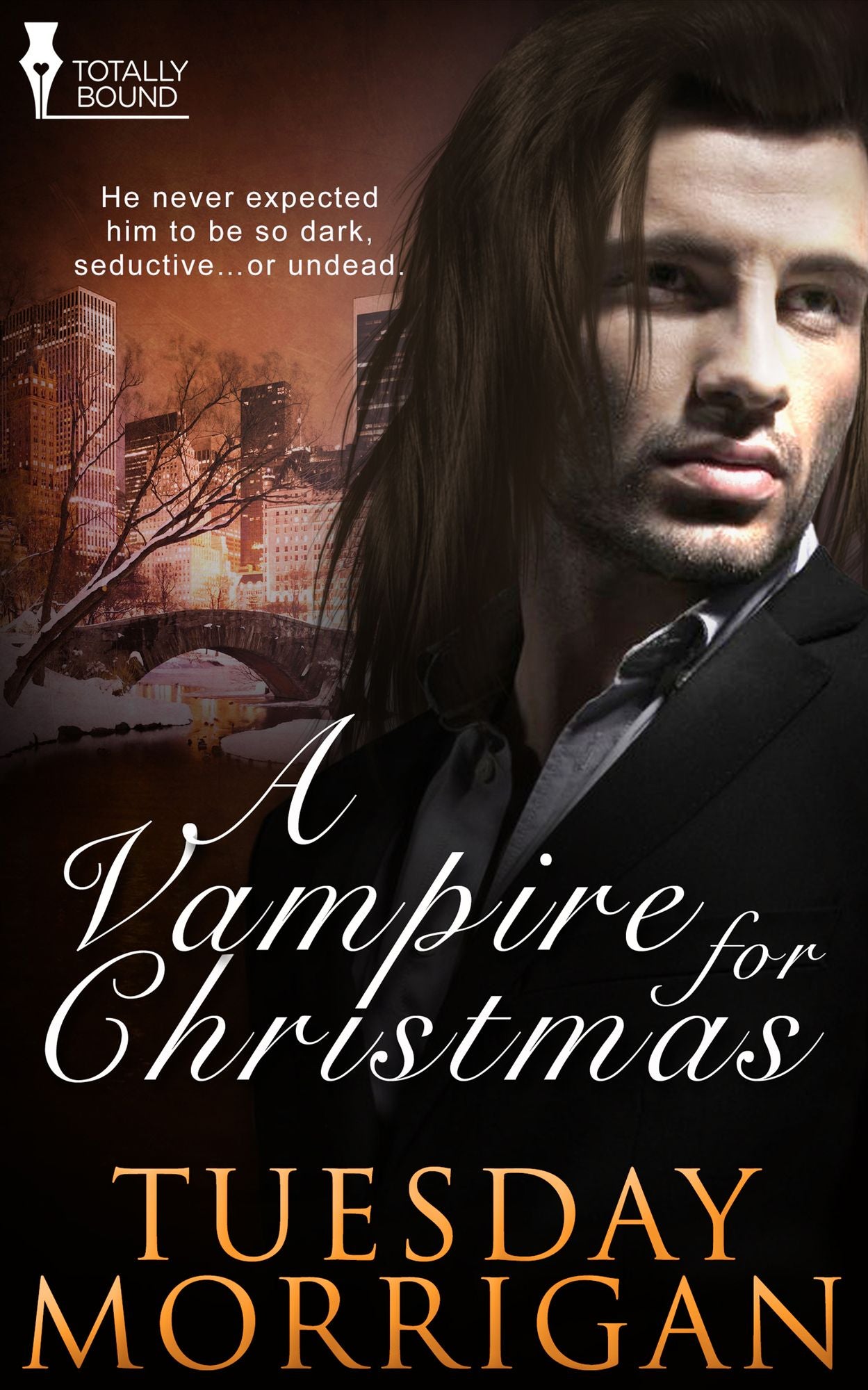 A Vampire For Christmas