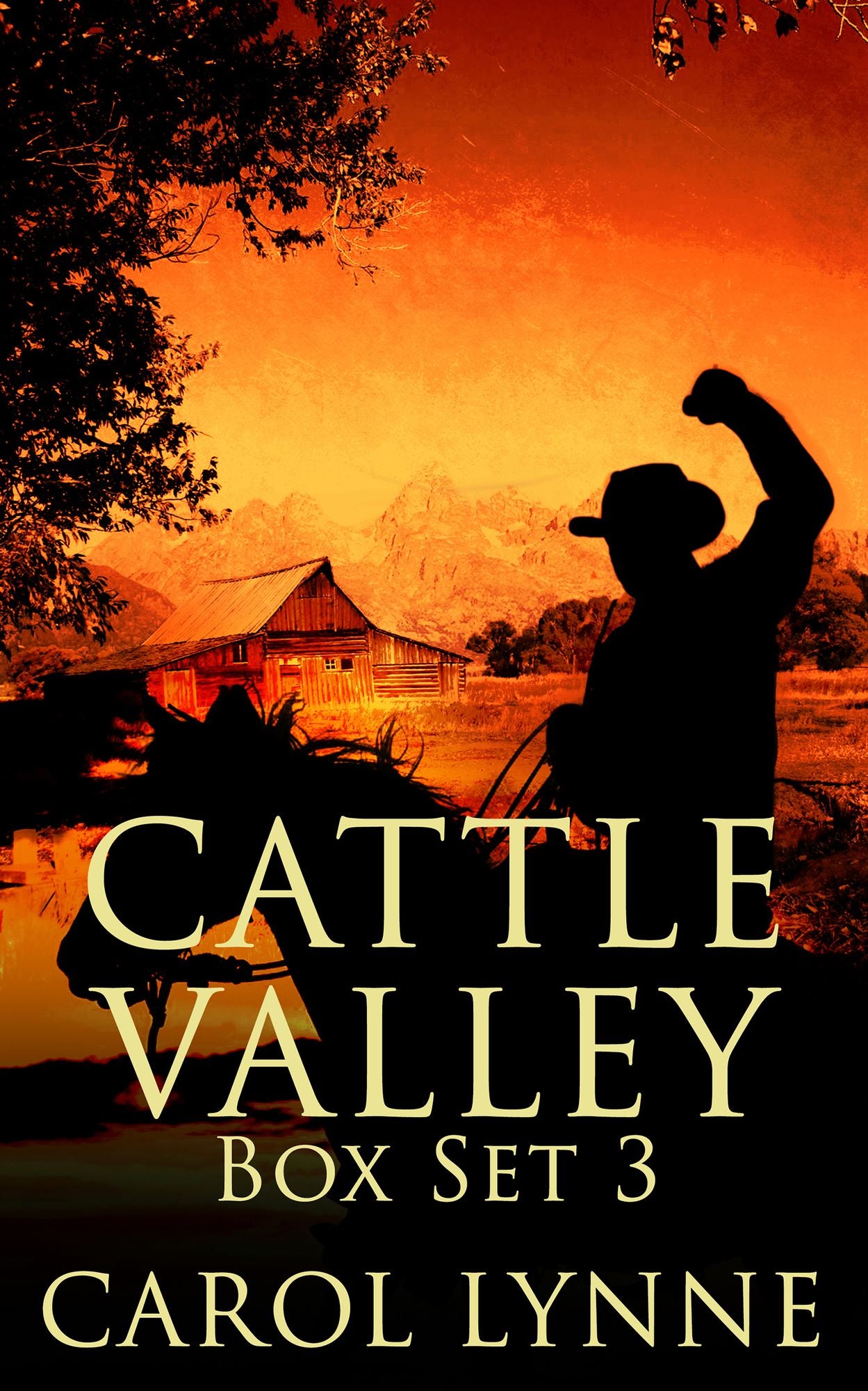 Cattle Valley Box Set 3