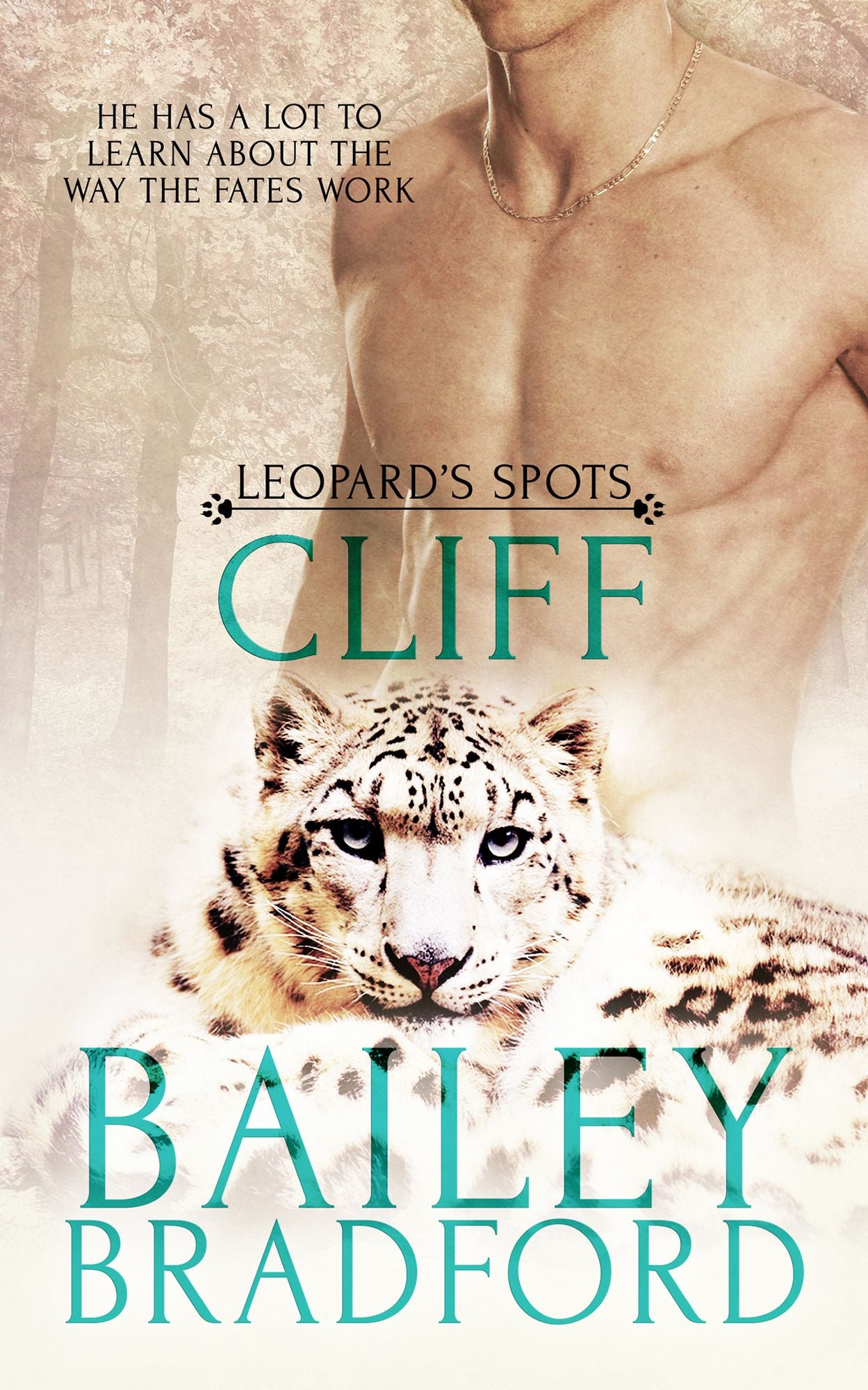 Cliff