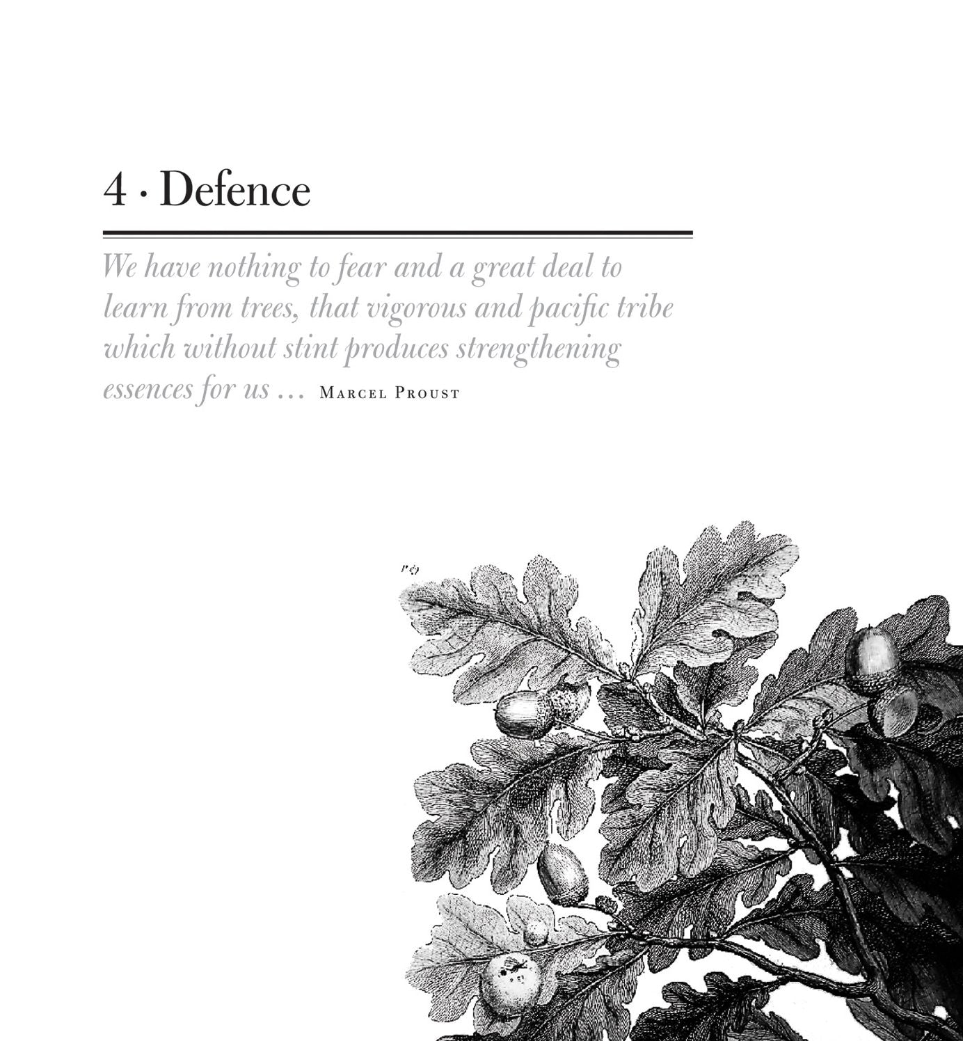 The Wisdom of Trees
