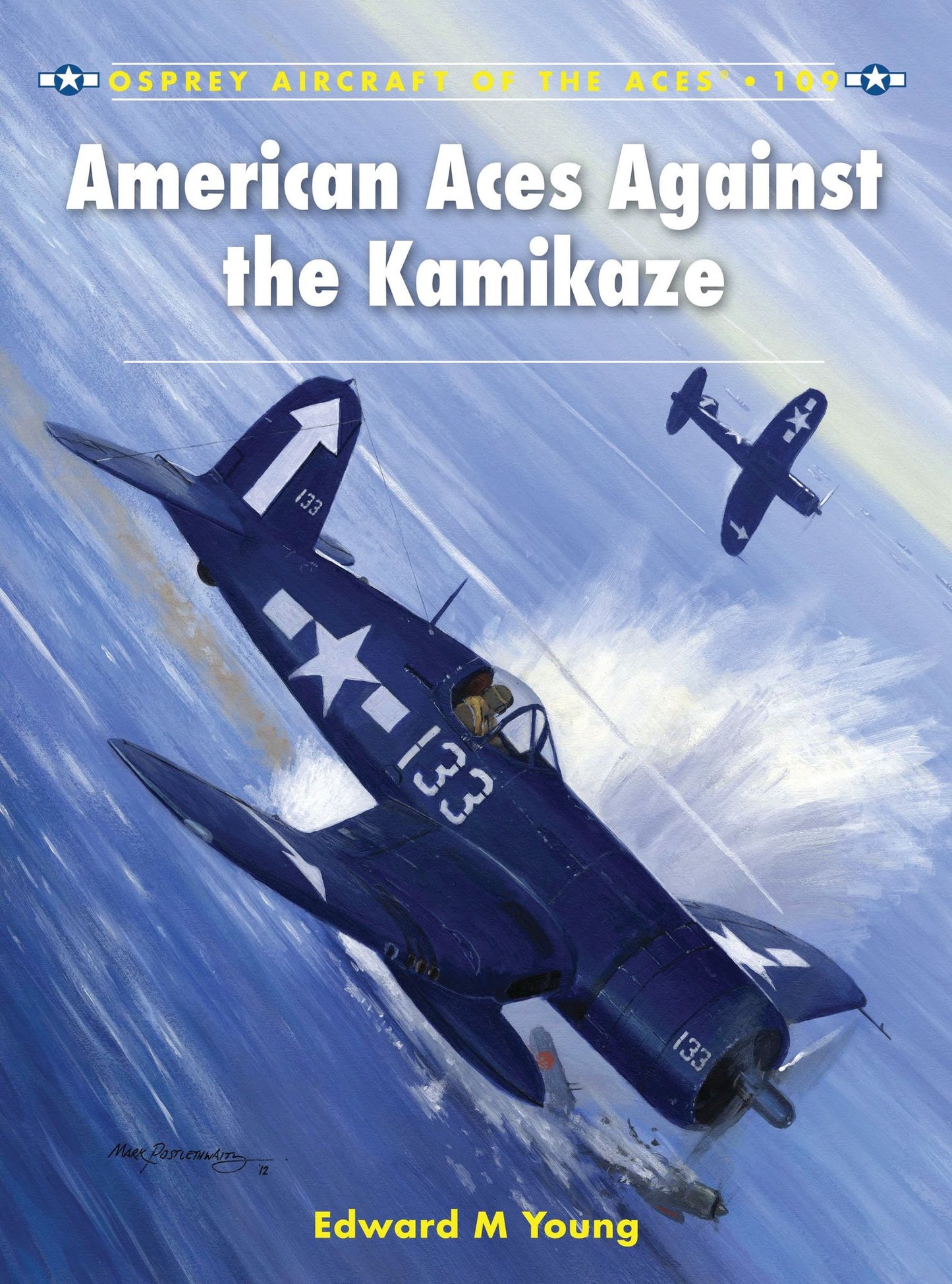 BloomsburyUK - American Aces against the Kamikaze