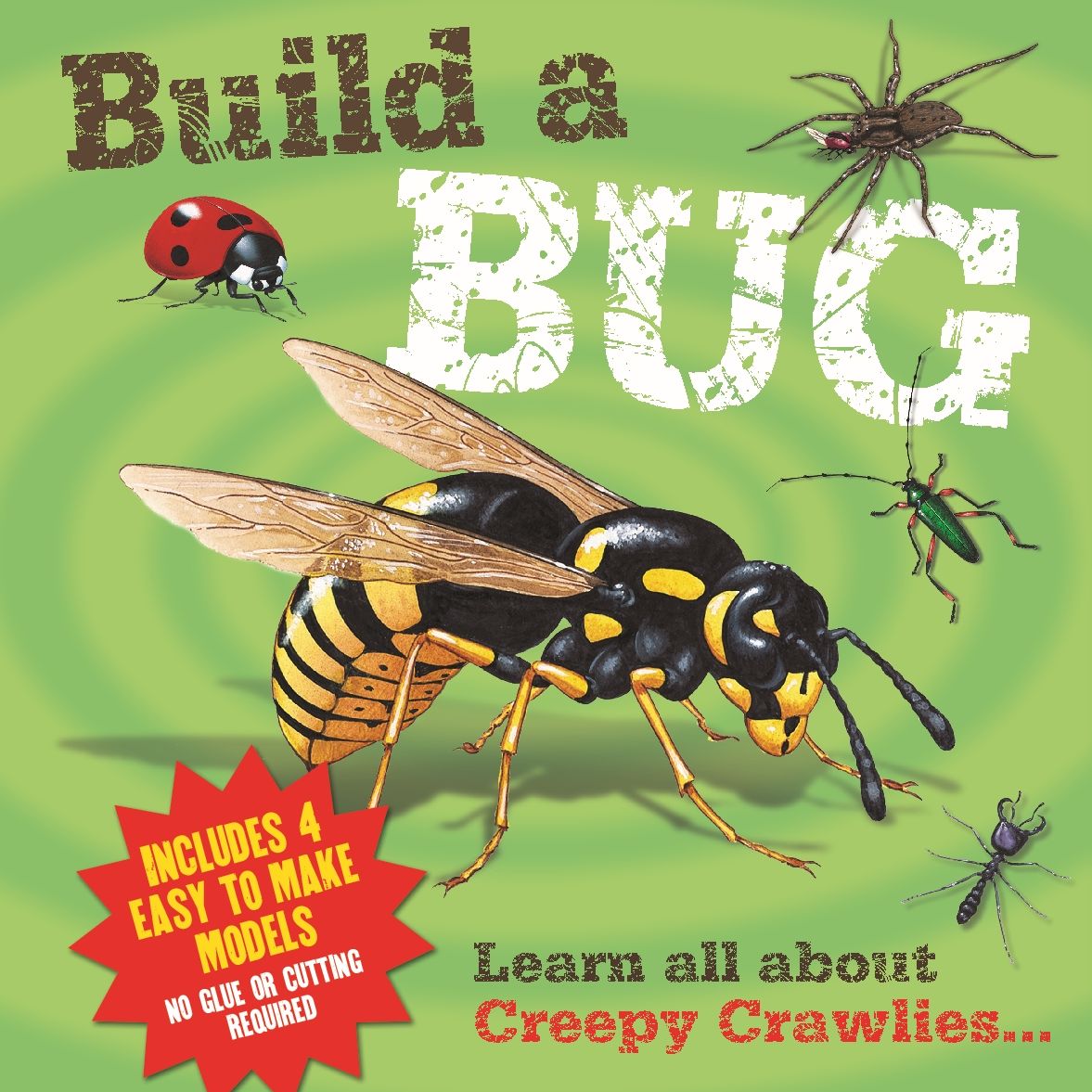 Build a Bug