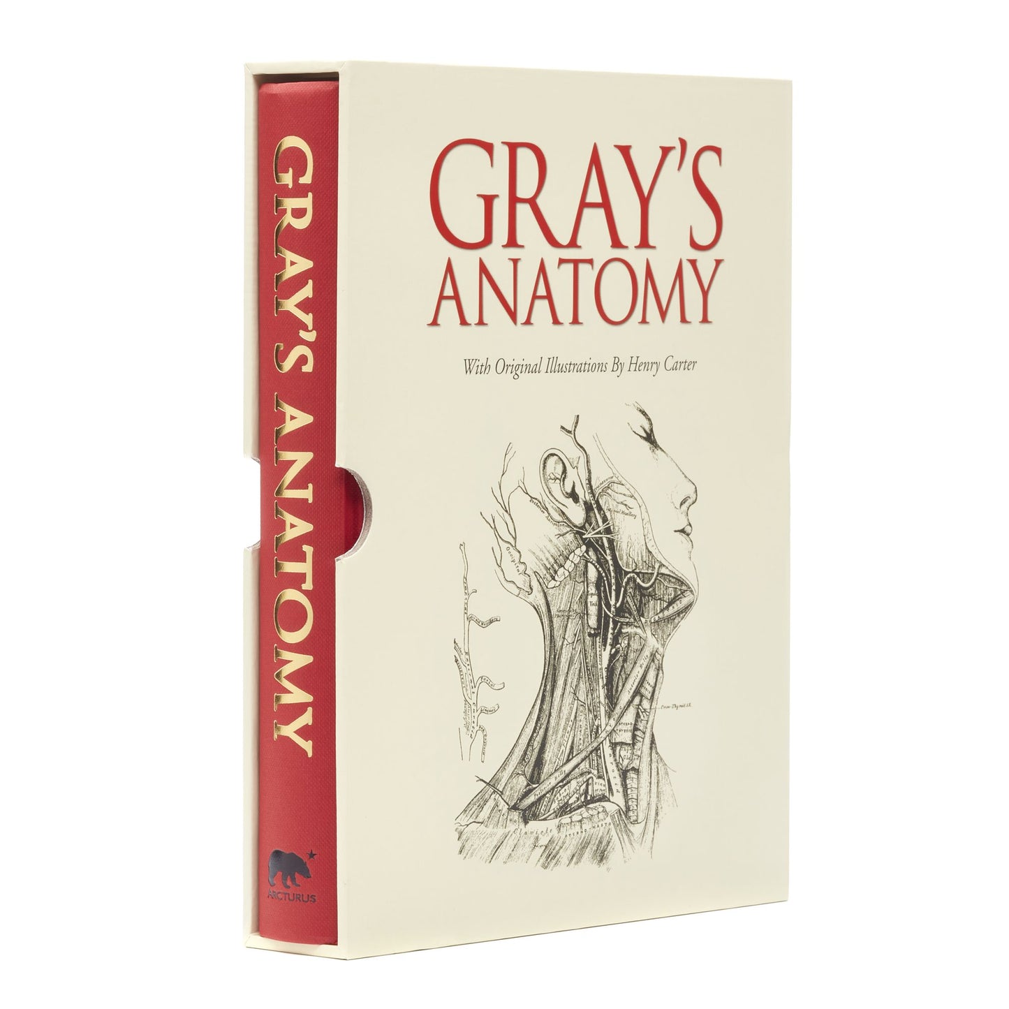 Gray's Anatomy: Slip-case Edition