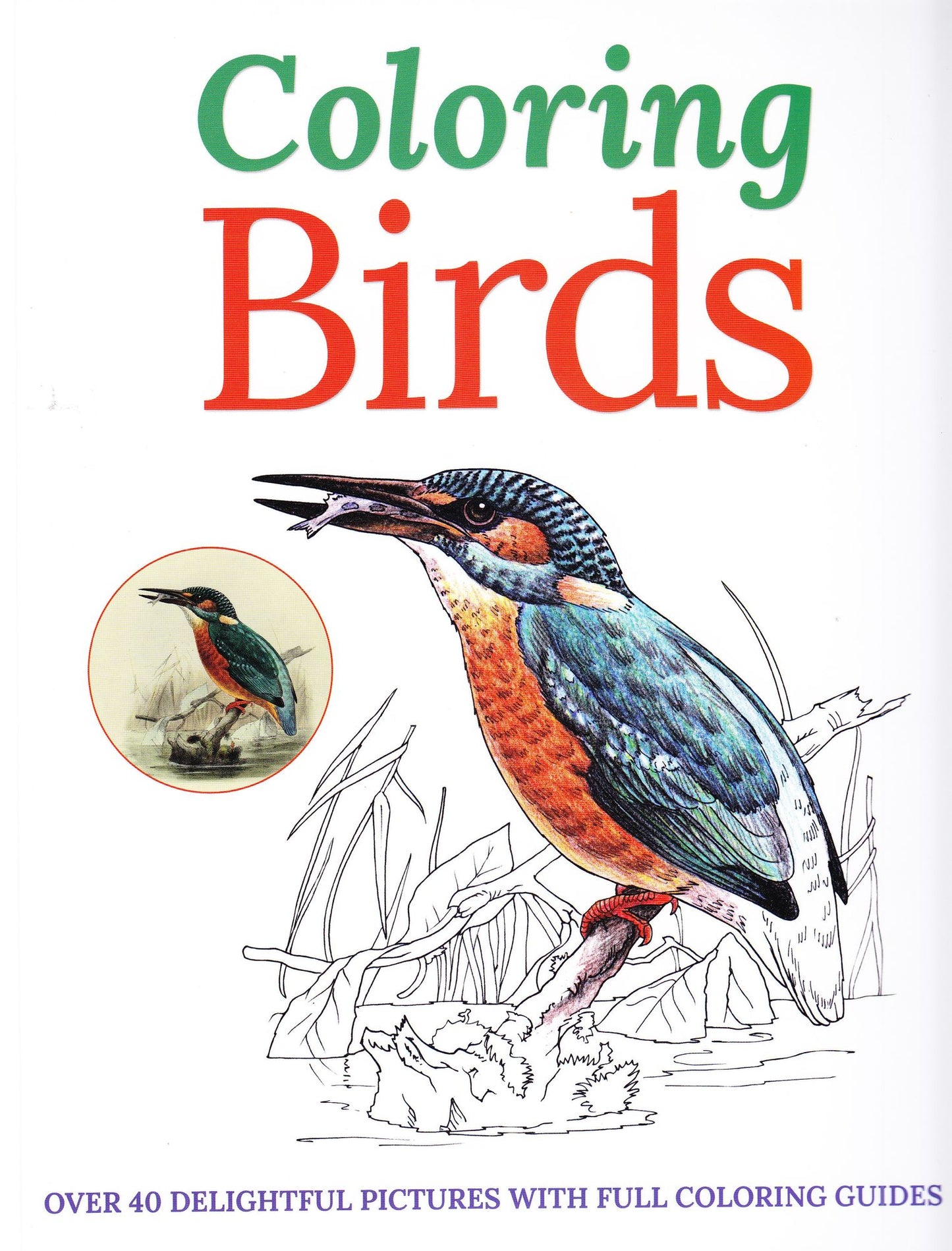 Coloring Birds
