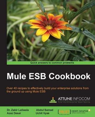 Mule ESB Cookbook
