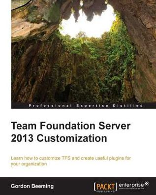 Team Foundation Server 2013 Customization