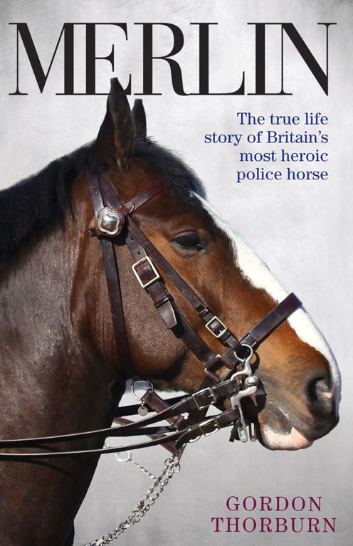 Merlin: The True Life Story of Britain's Most Heroic Police Horse