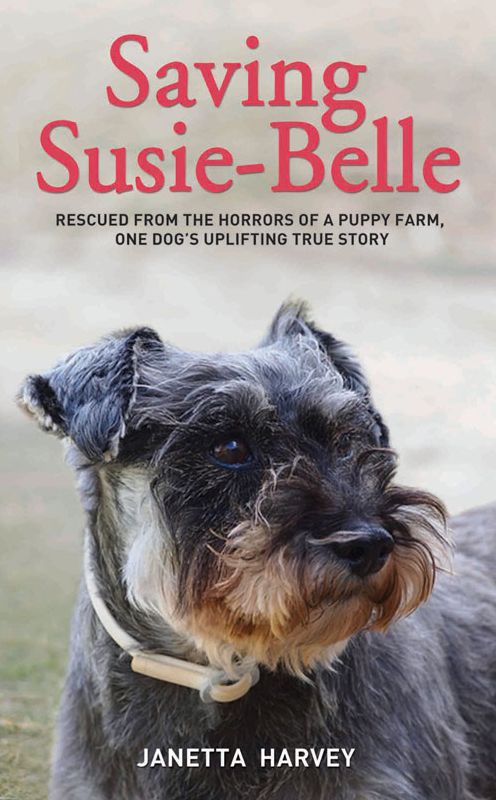 Saving Susie-Belle: Rescued from the Horrors of a Puppy Farm, One Dog's Uplifting True Story