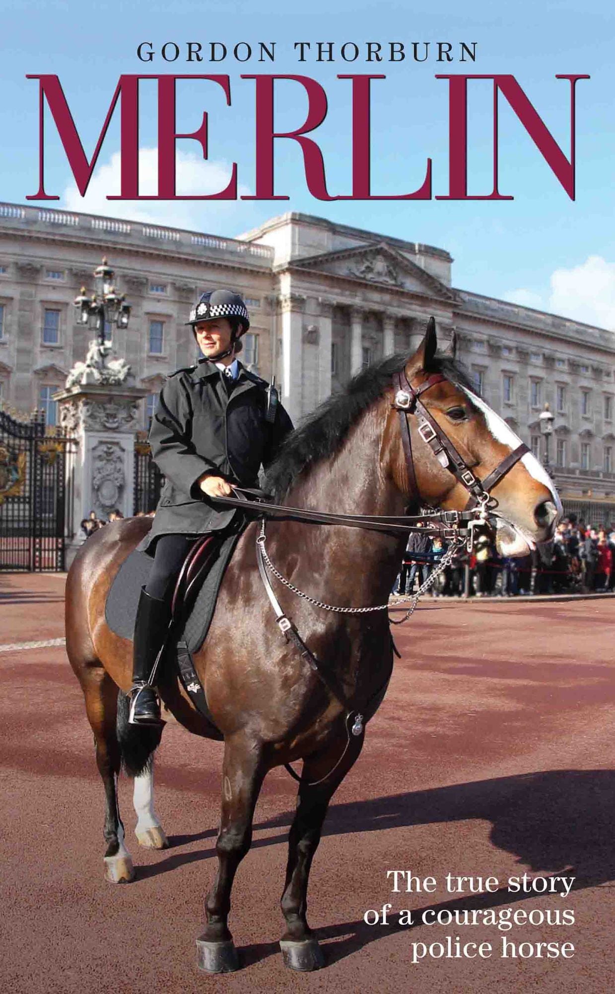 Merlin: The True Life Story of Britain's Most Heroic Police Horse