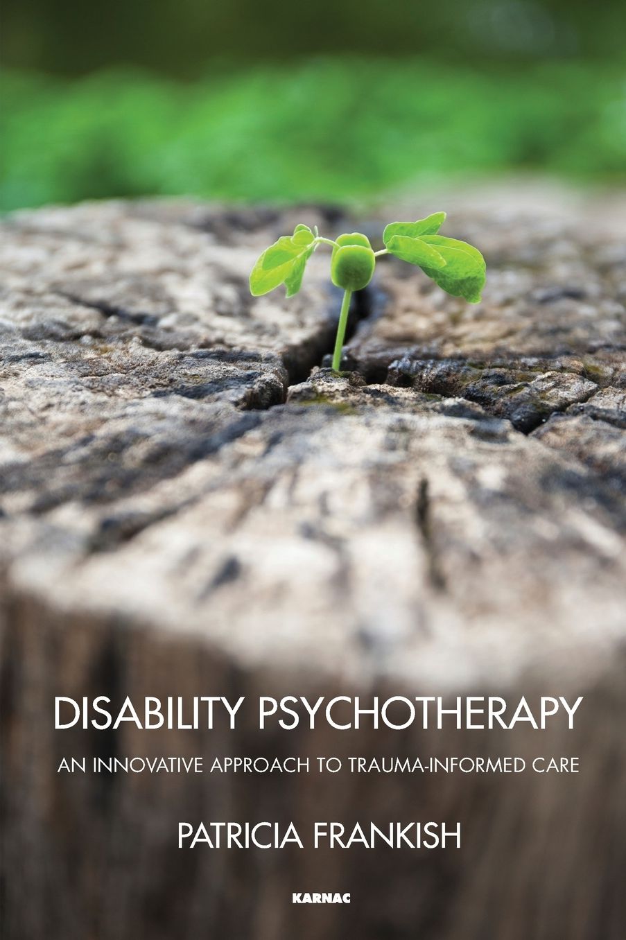 Disability Psychotherapy: An Innovative Approach to Trauma-informed Care