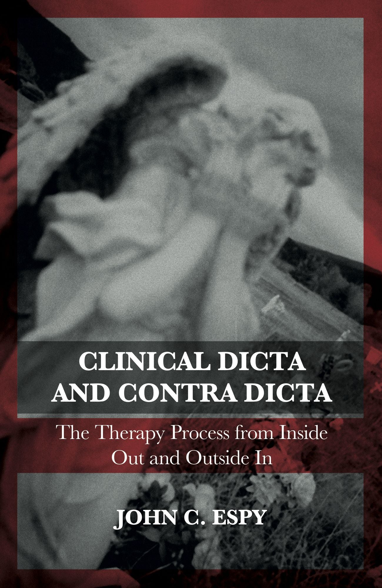 Clinical Dicta and Contra Dicta: The Therapy Process from Inside Out and Outside in