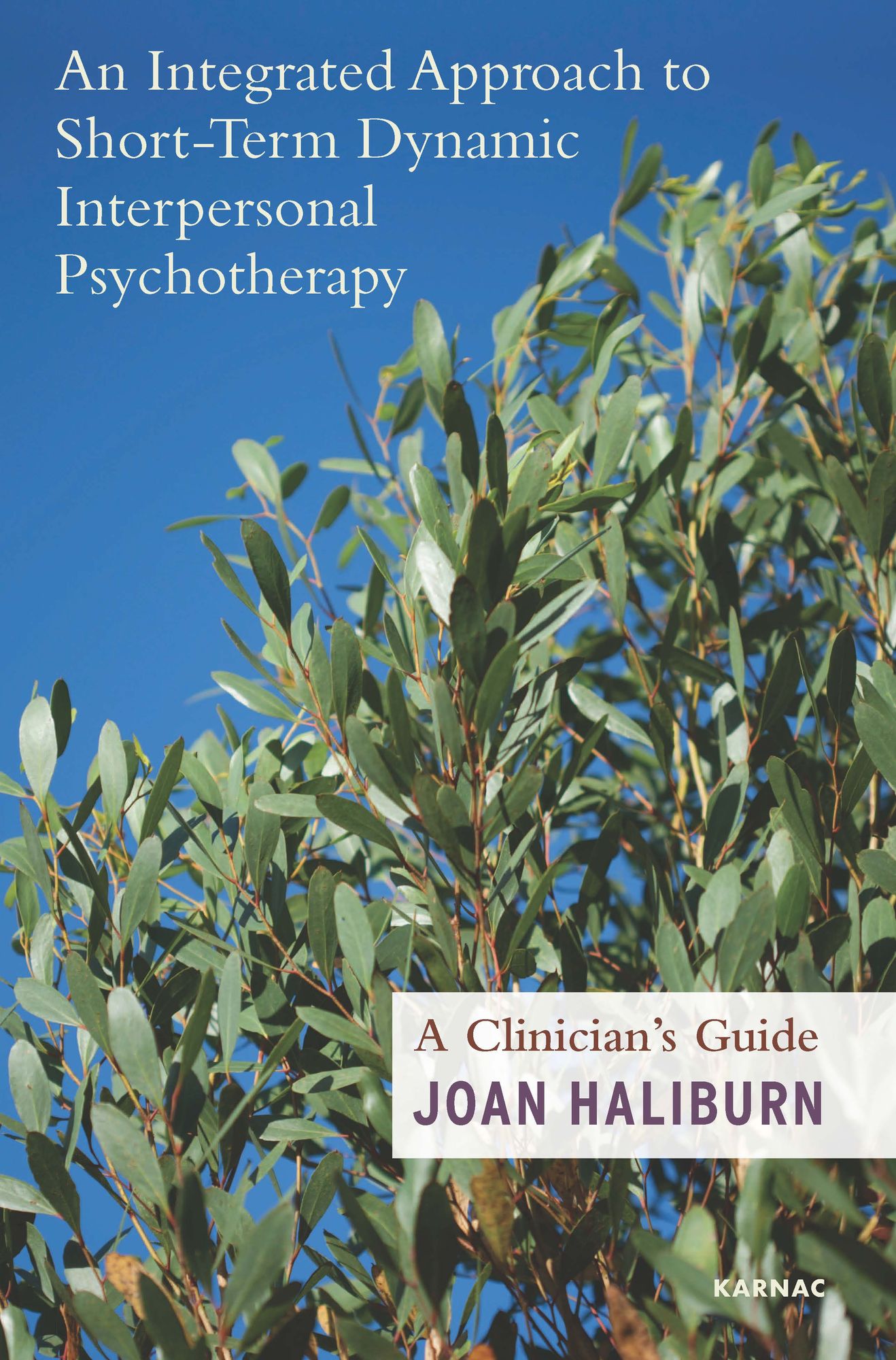 An Integrated Model to Short-Term Dynamic Interpersonal Psychotherapy: A Clinician's Guide