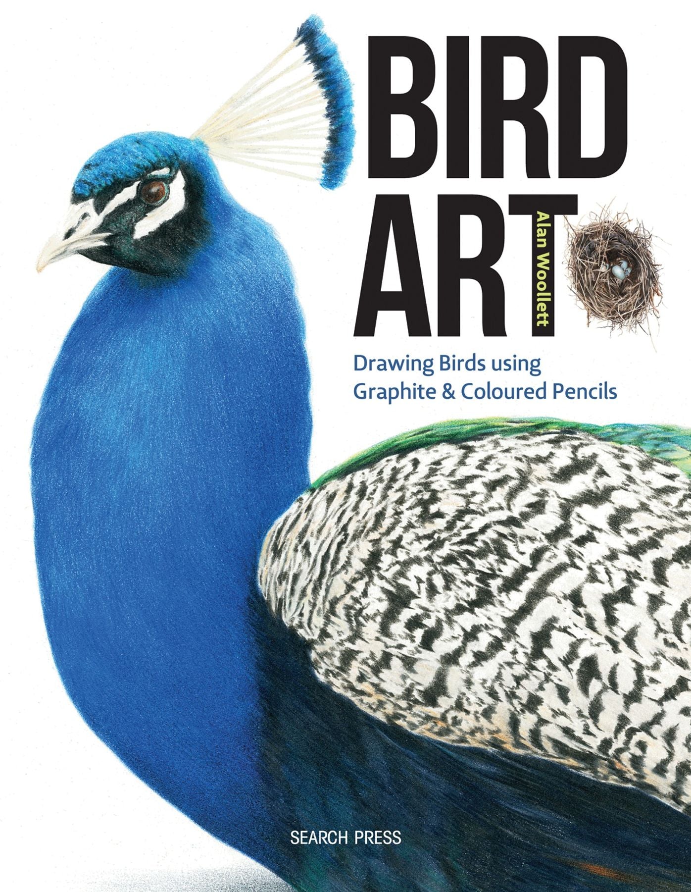 Bird Art: Using Graphite and Coloured Pencils