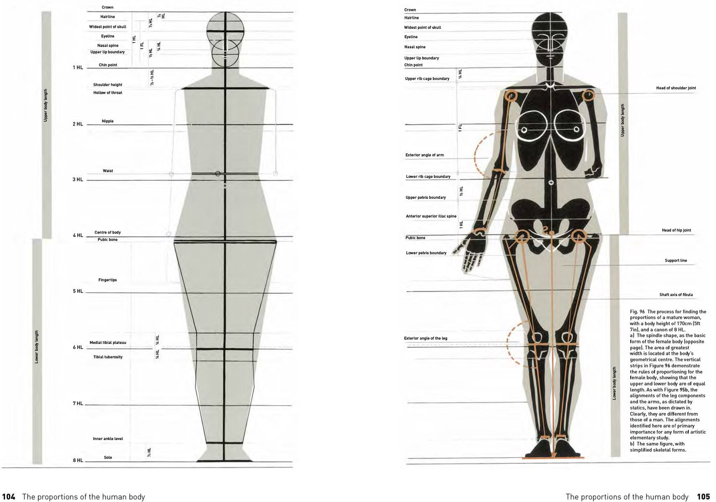 The Complete Guide to Anatomy for Artists & Illustrators: Drawing the Human Form