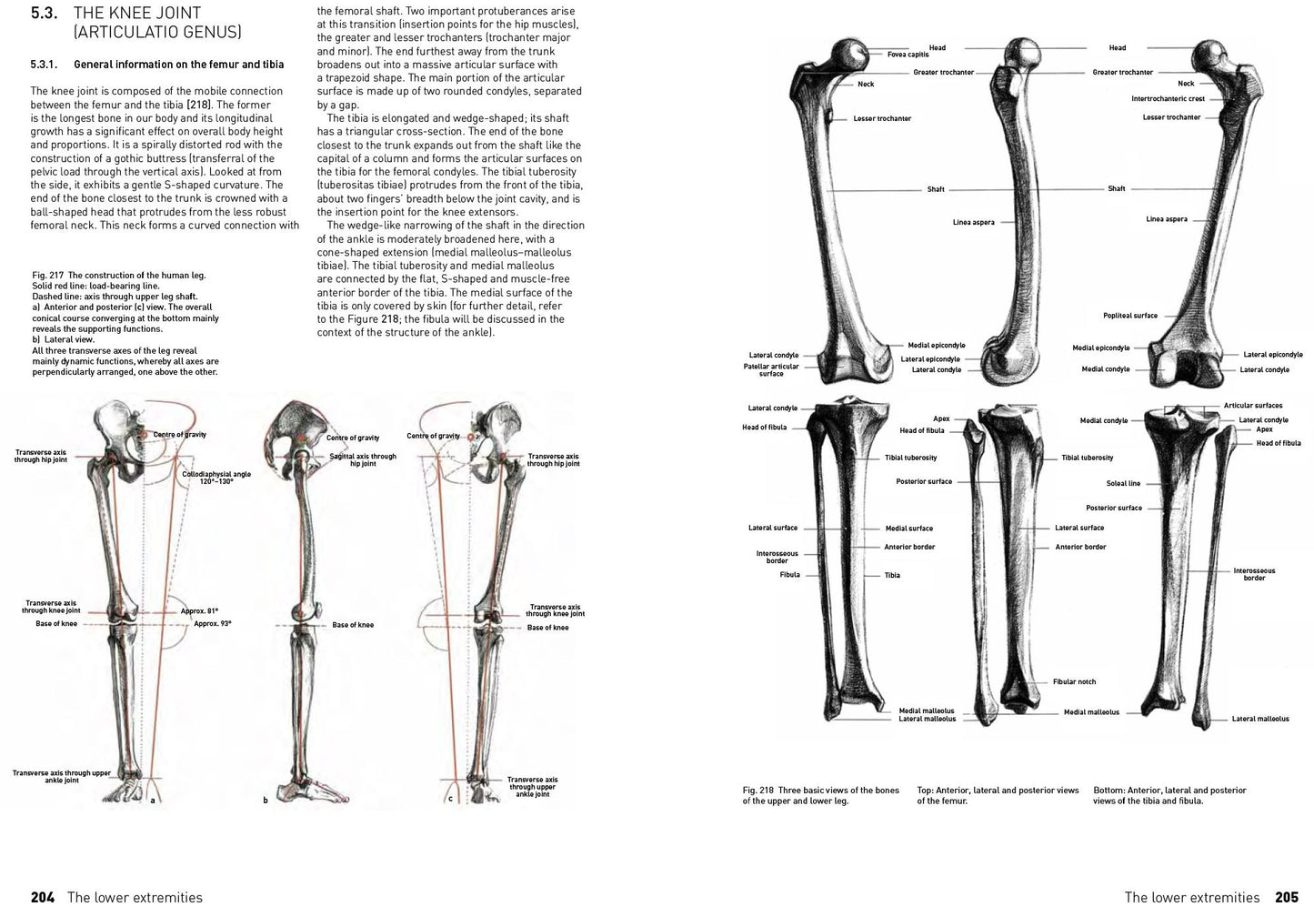 The Complete Guide to Anatomy for Artists & Illustrators: Drawing the Human Form