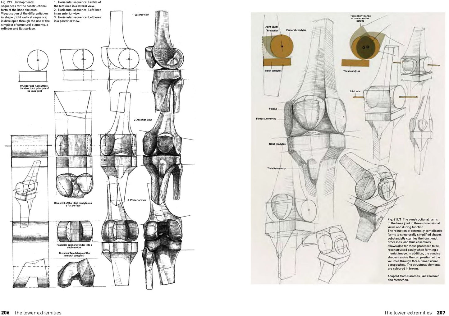 The Complete Guide to Anatomy for Artists & Illustrators: Drawing the Human Form