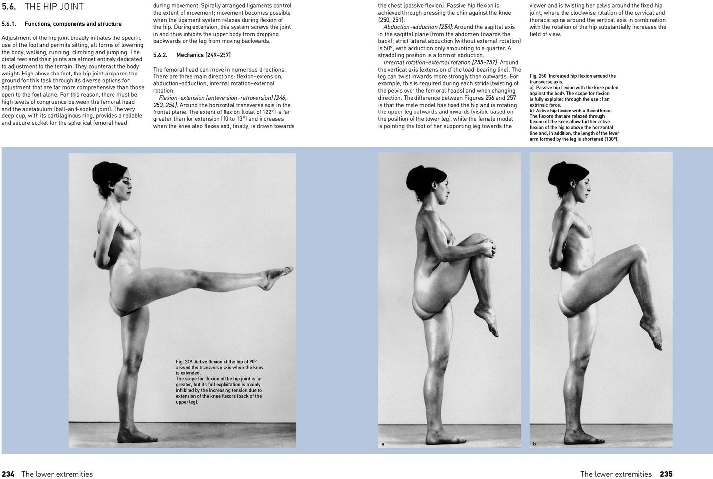 The Complete Guide to Anatomy for Artists & Illustrators: Drawing the Human Form