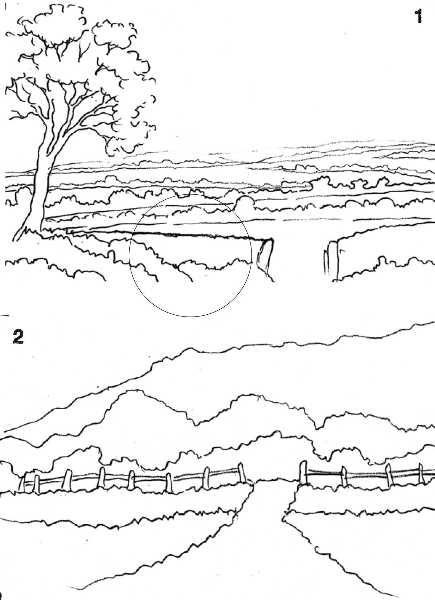 Ready to Paint in 30 Minutes: Landscapes in Watercolour