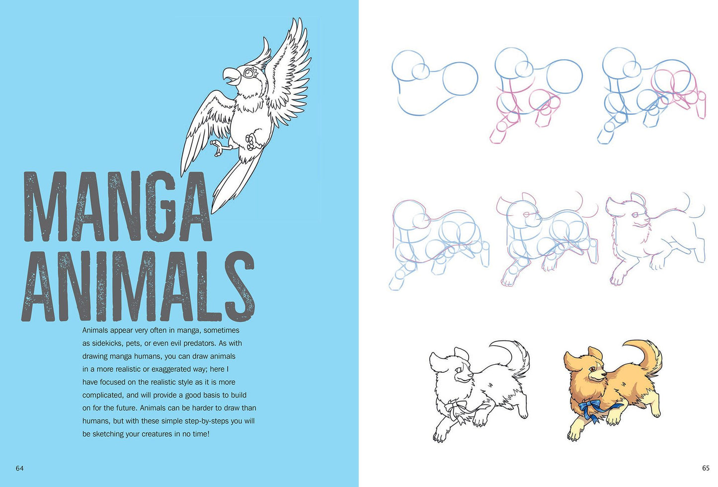 How to Draw: Manga: in Simple Steps