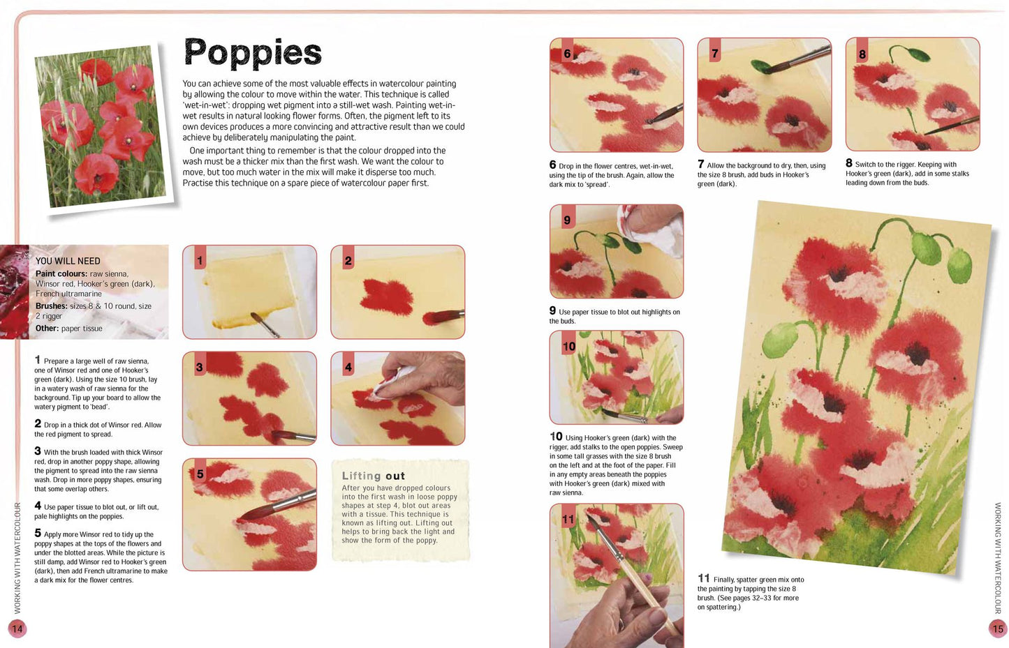 Ready to Paint in 30 Minutes: Flowers in Watercolour