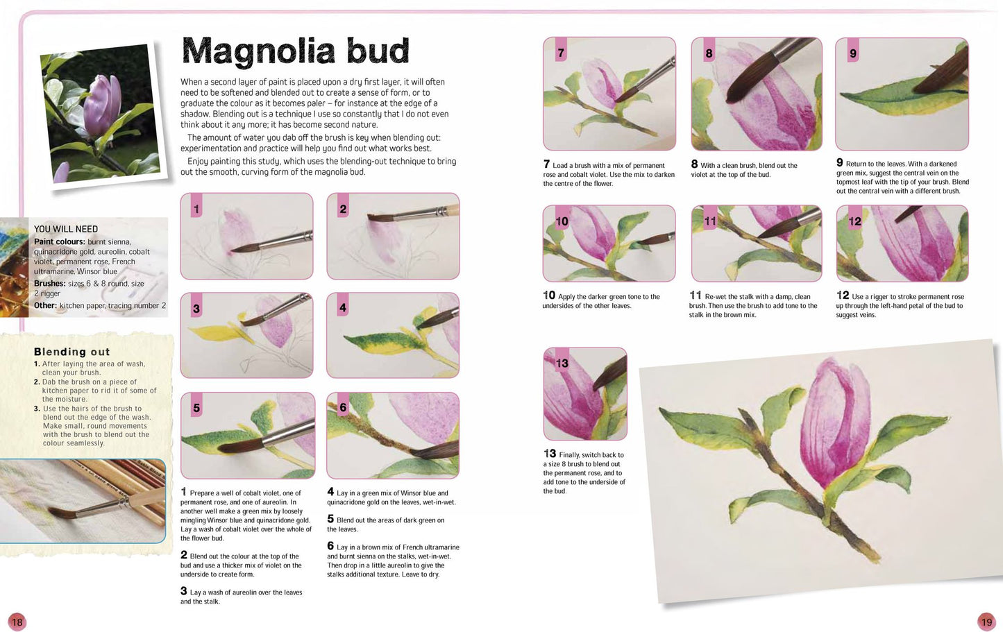 Ready to Paint in 30 Minutes: Flowers in Watercolour