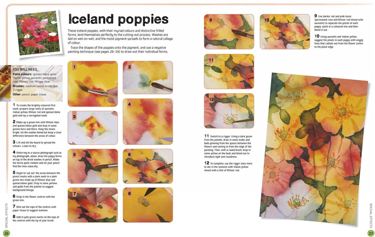 Ready to Paint in 30 Minutes: Flowers in Watercolour