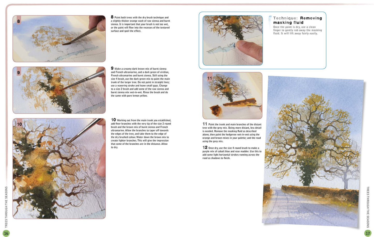 Ready to Paint in 30 Minutes: Trees & Woodlands in Watercolour