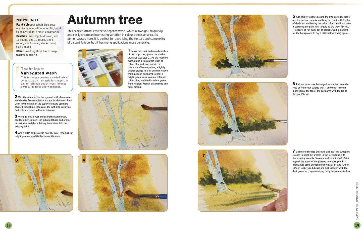 Ready to Paint in 30 Minutes: Trees & Woodlands in Watercolour