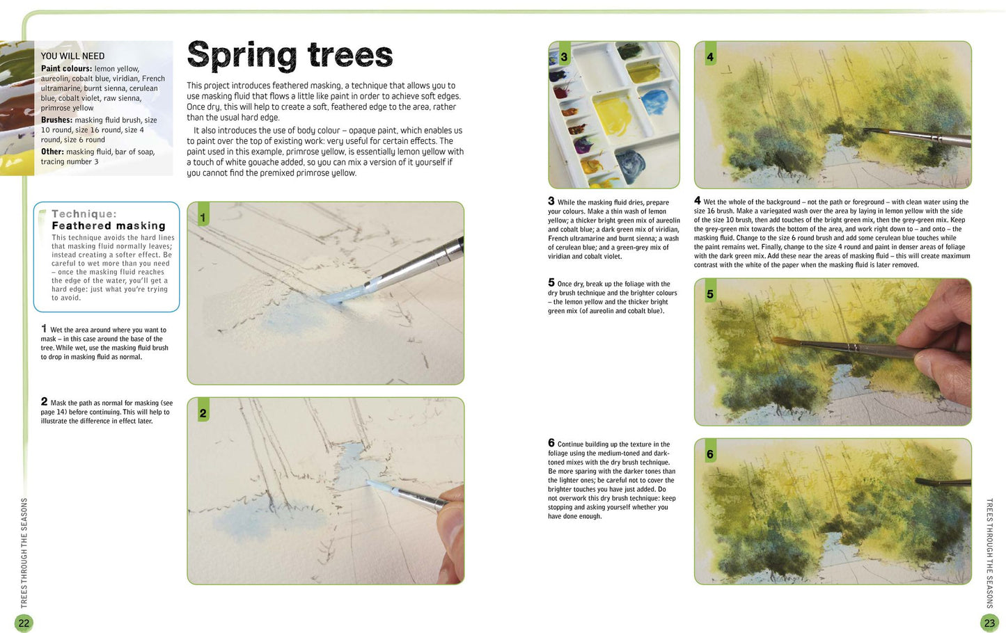 Ready to Paint in 30 Minutes: Trees & Woodlands in Watercolour