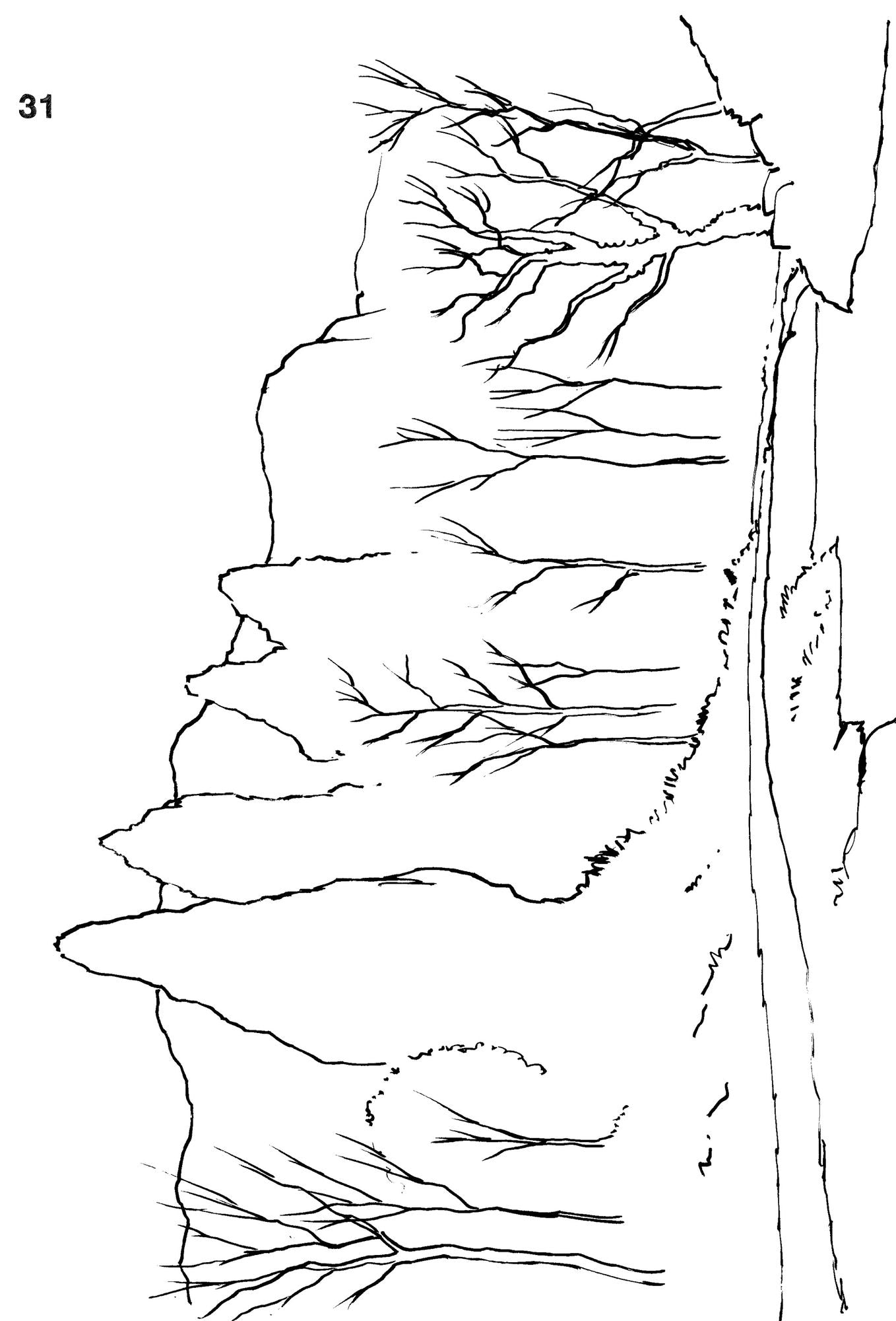 Ready to Paint in 30 Minutes: Trees & Woodlands in Watercolour