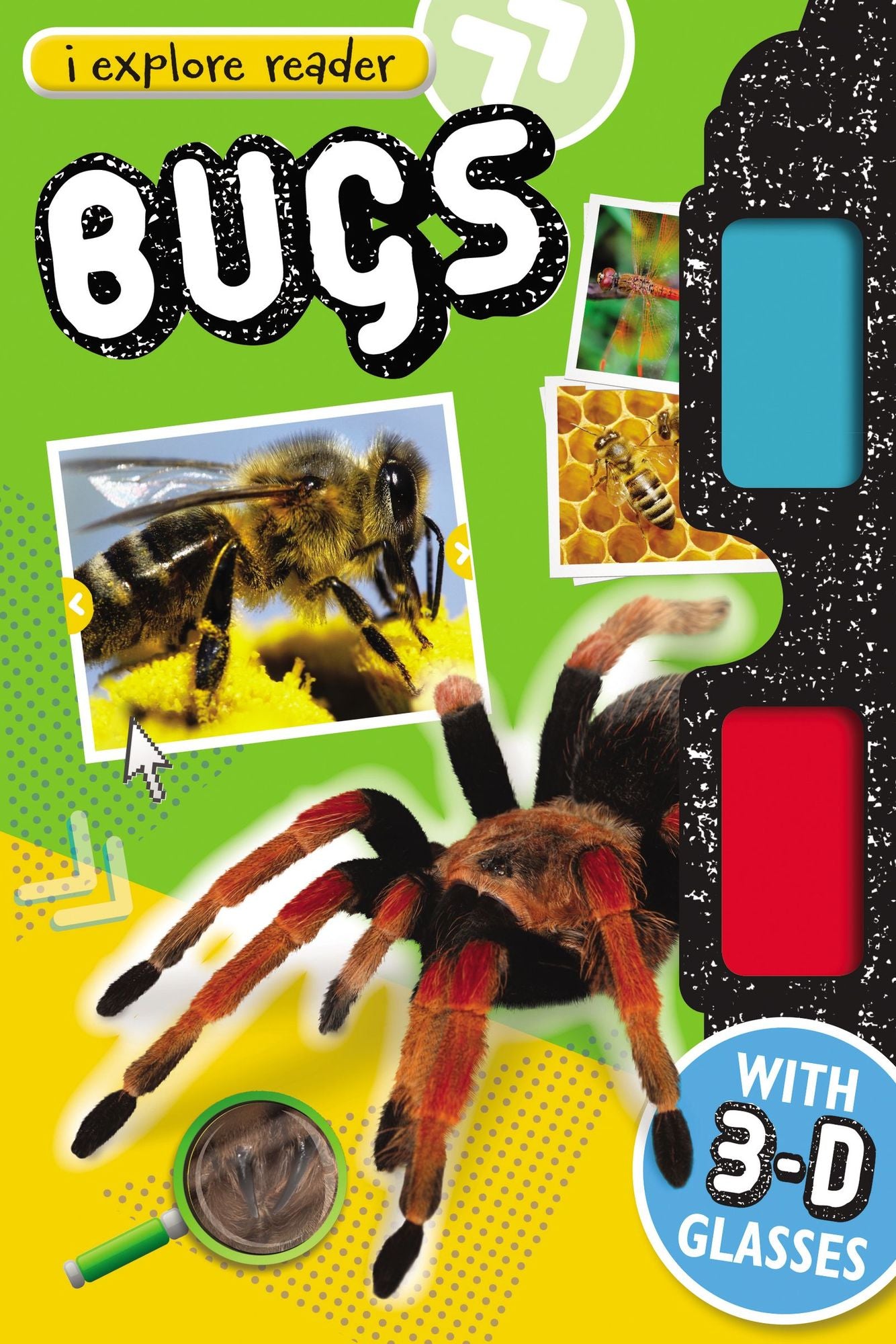 I-Explore 3D Reader Bugs