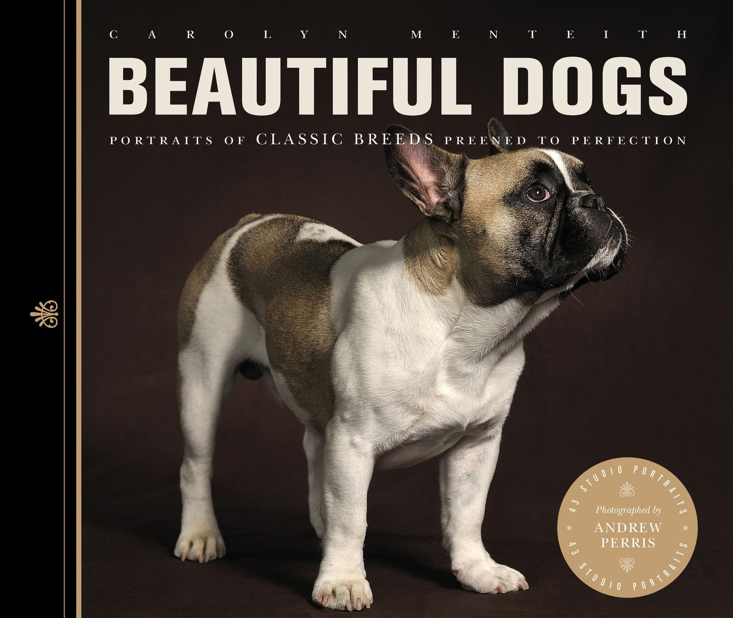 Beautiful Dogs: Portraits of Classic Breeds Preened to Perfection