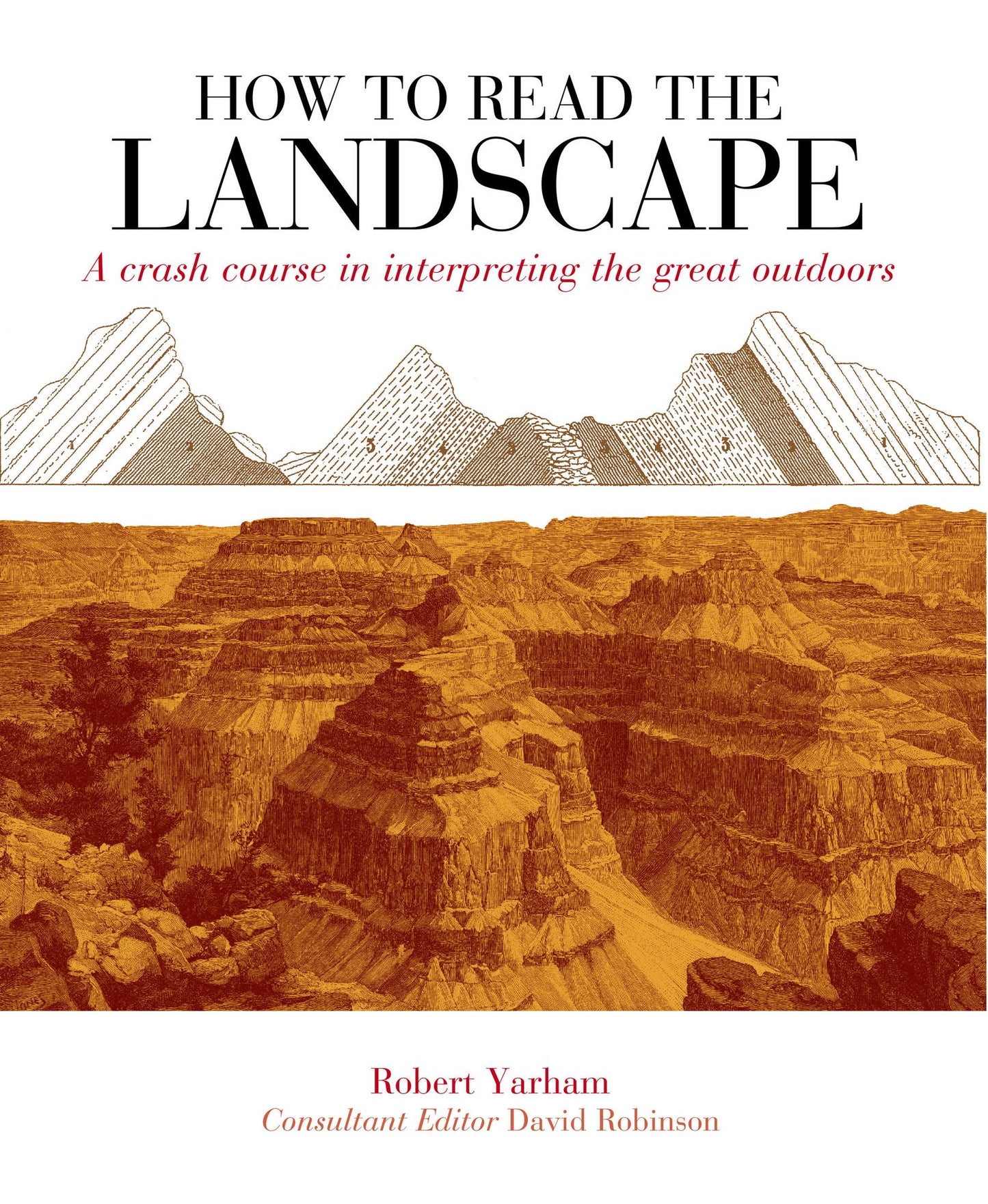 How to Read the Landscape: A crash course in interpreting the great outdoors