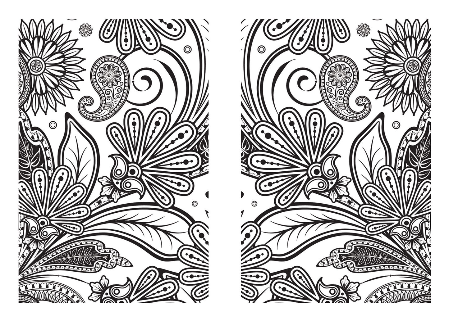 The Creative Colouring Book for Grown-ups