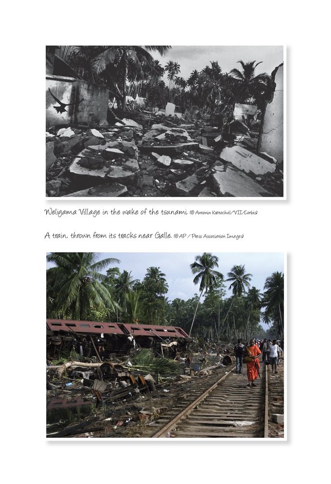 Tsunami Kids: Our Journey from Survival to Success