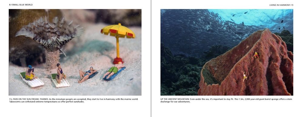 Small Blue World: Little People. Big Adventures