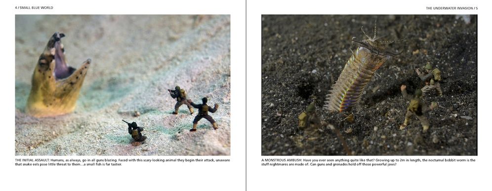 Small Blue World: Little People. Big Adventures