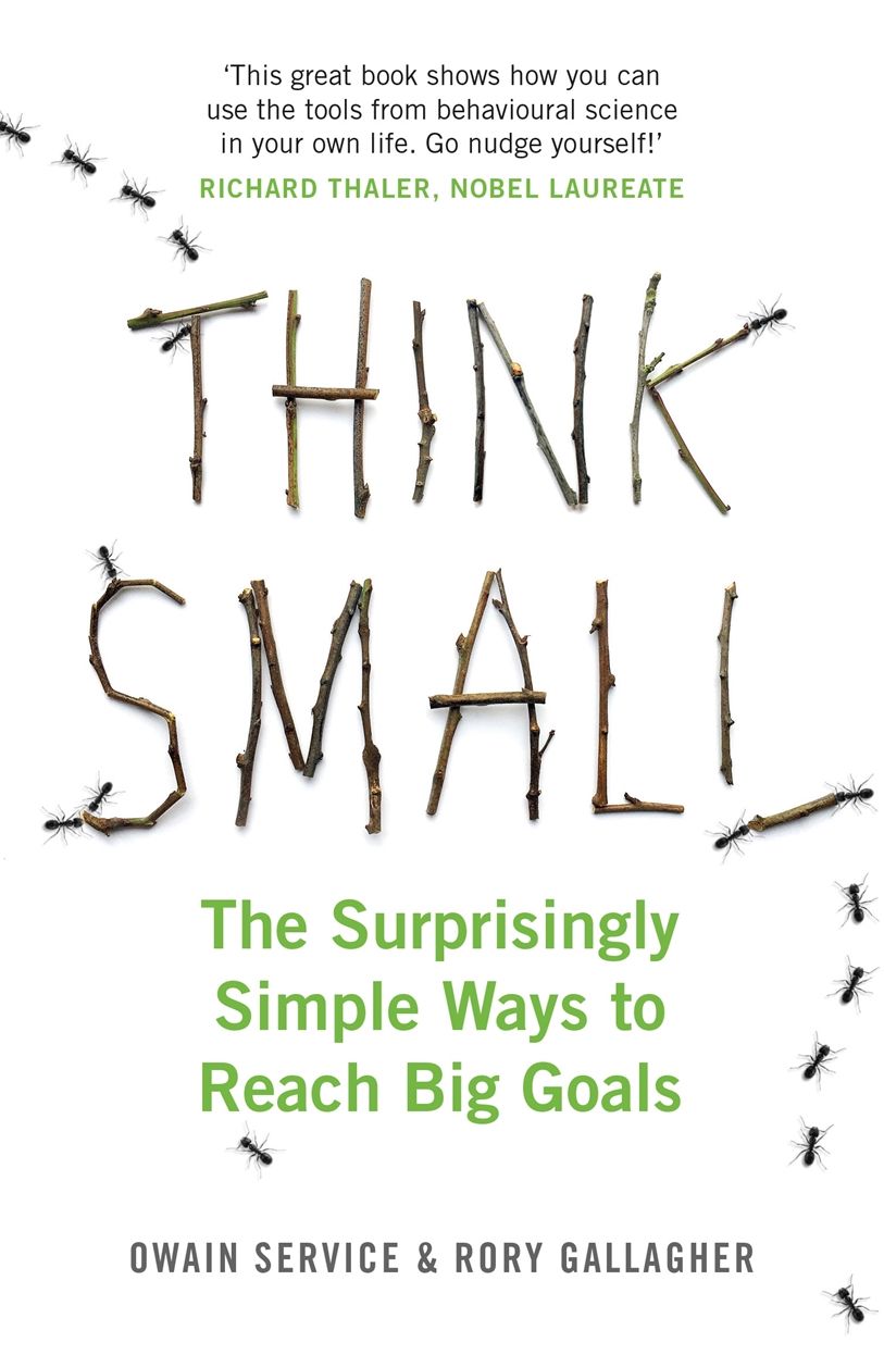 Think Small: The Surprisingly Simple Ways to Reach Big Goals