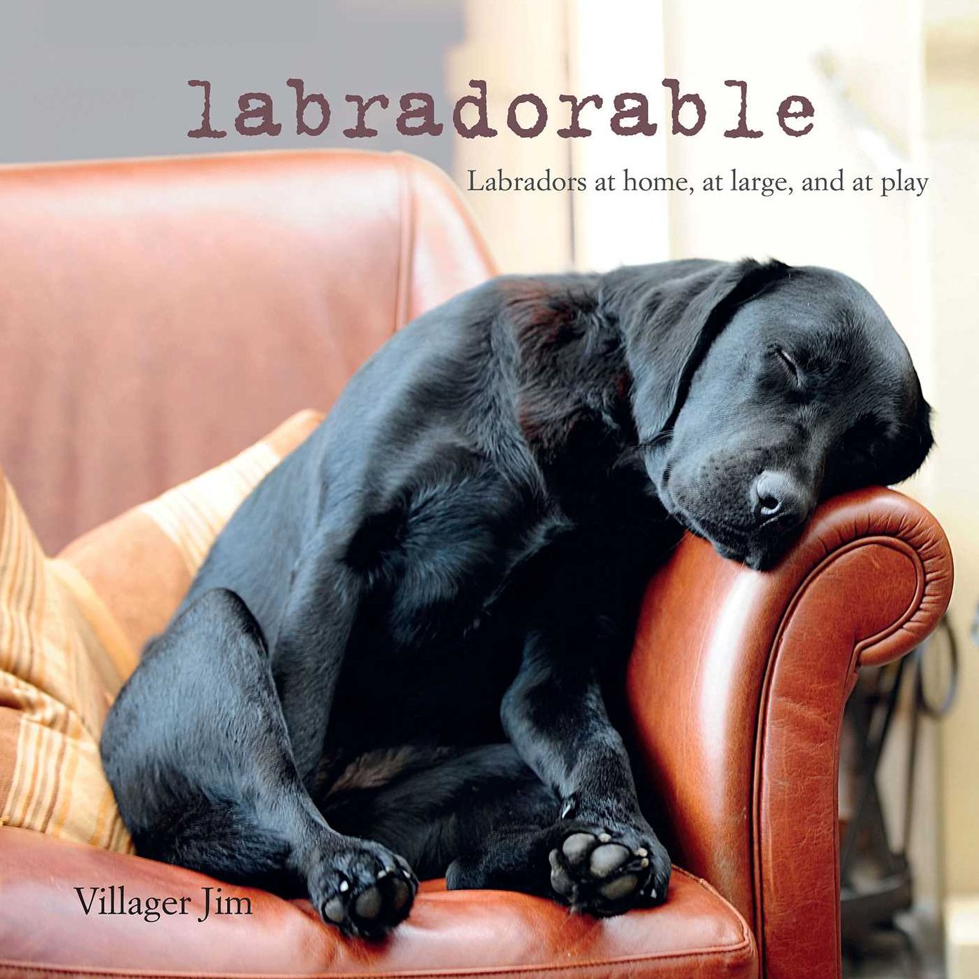 Labradorable: Labradors at home, at large, and at play