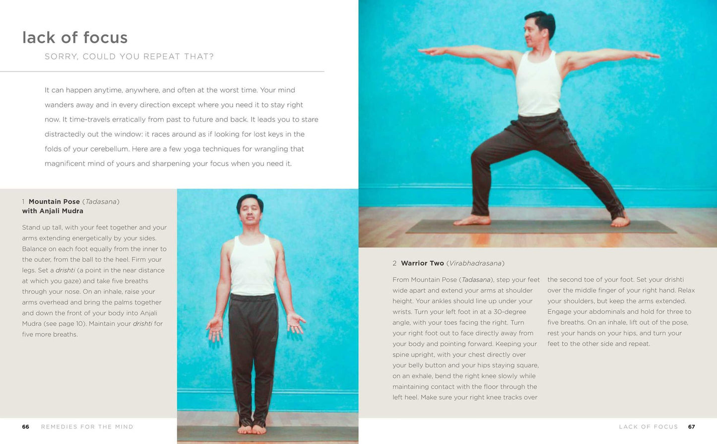The Yoga Healer: Remedies for the body, mind, and spirit, from easing back pain and headaches to managing anxiety and finding joy and peace within