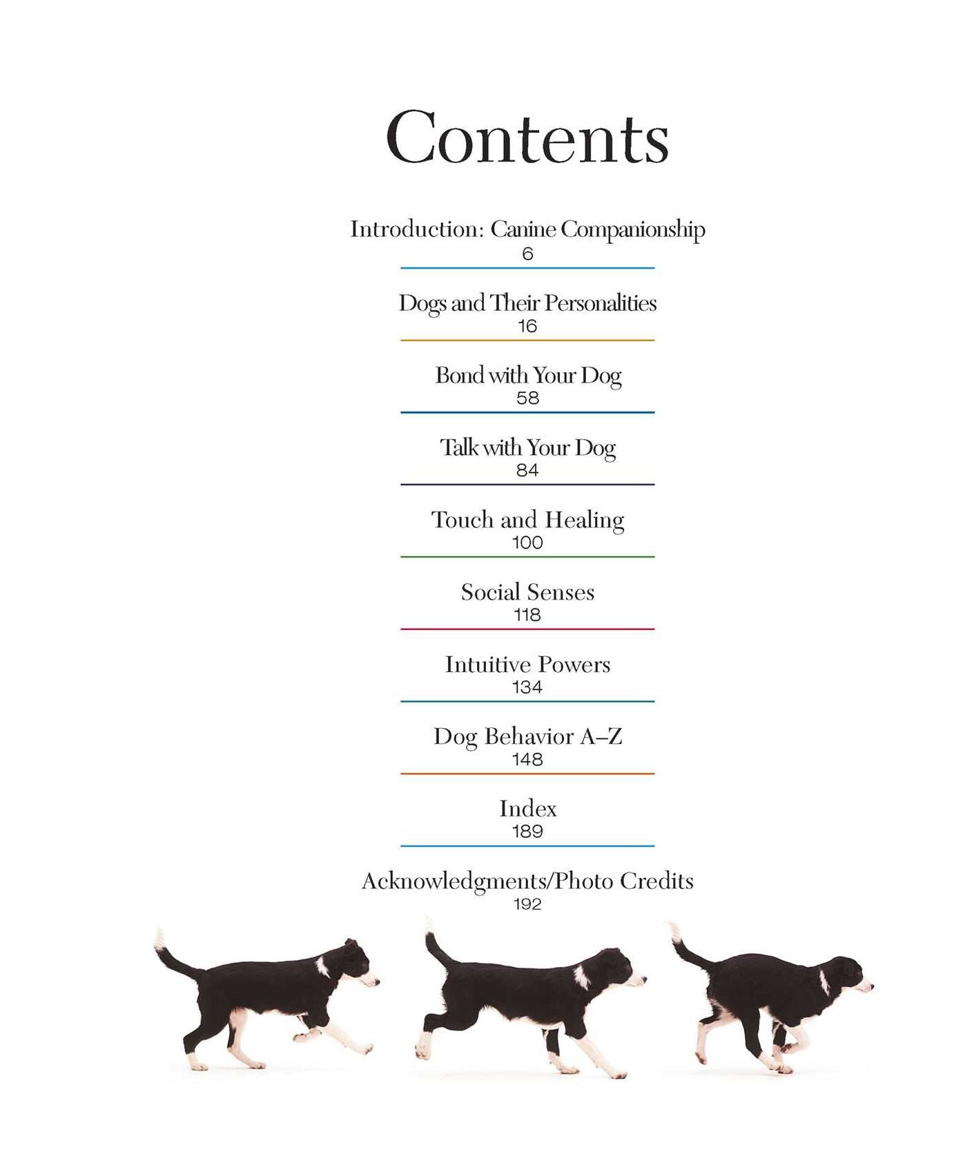 Understanding Your Dog: How To Interpret What Your Dog Is Really Telling You