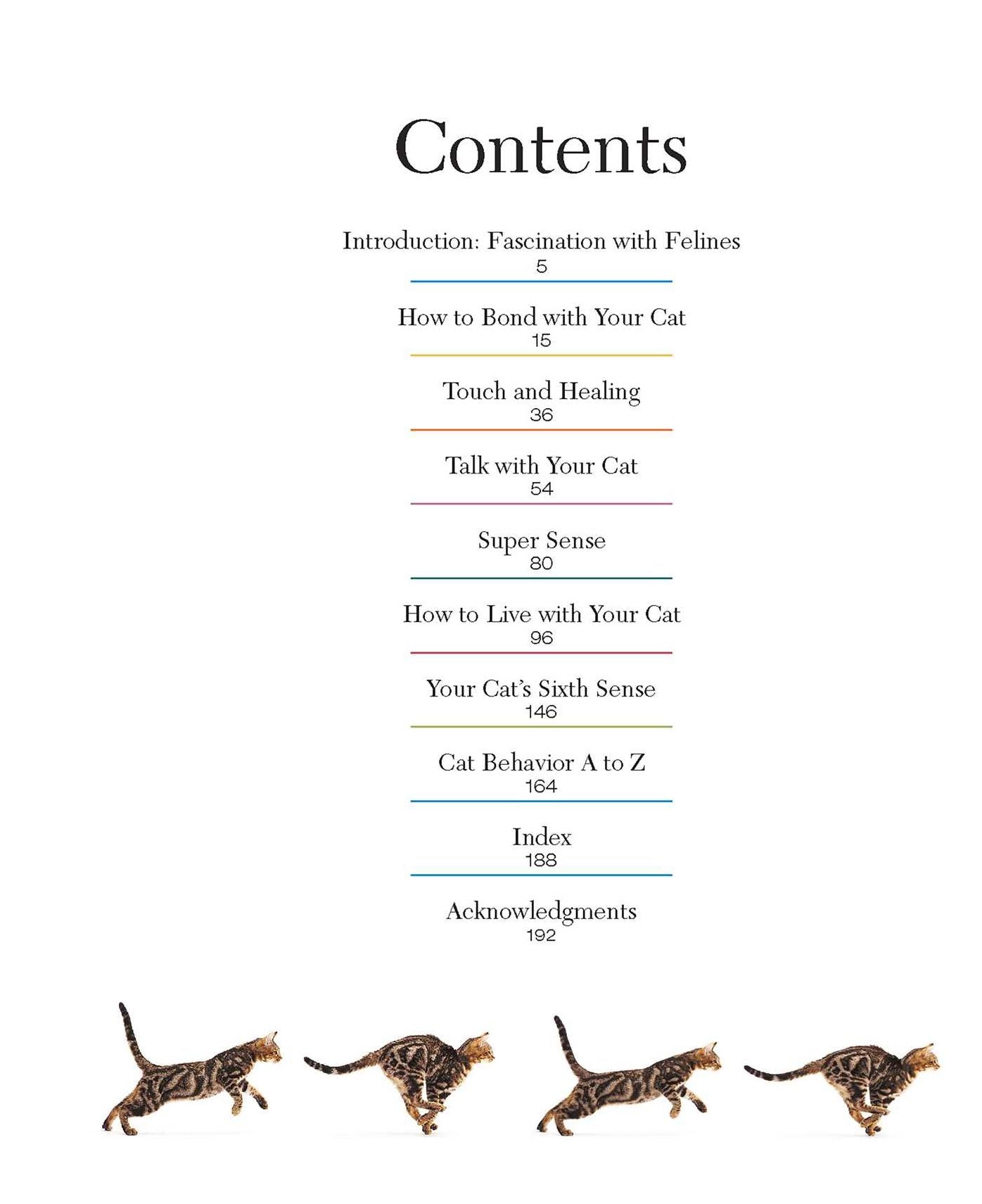 Understanding Your Cat: How To Interpret What Your Cat Is Really Telling You