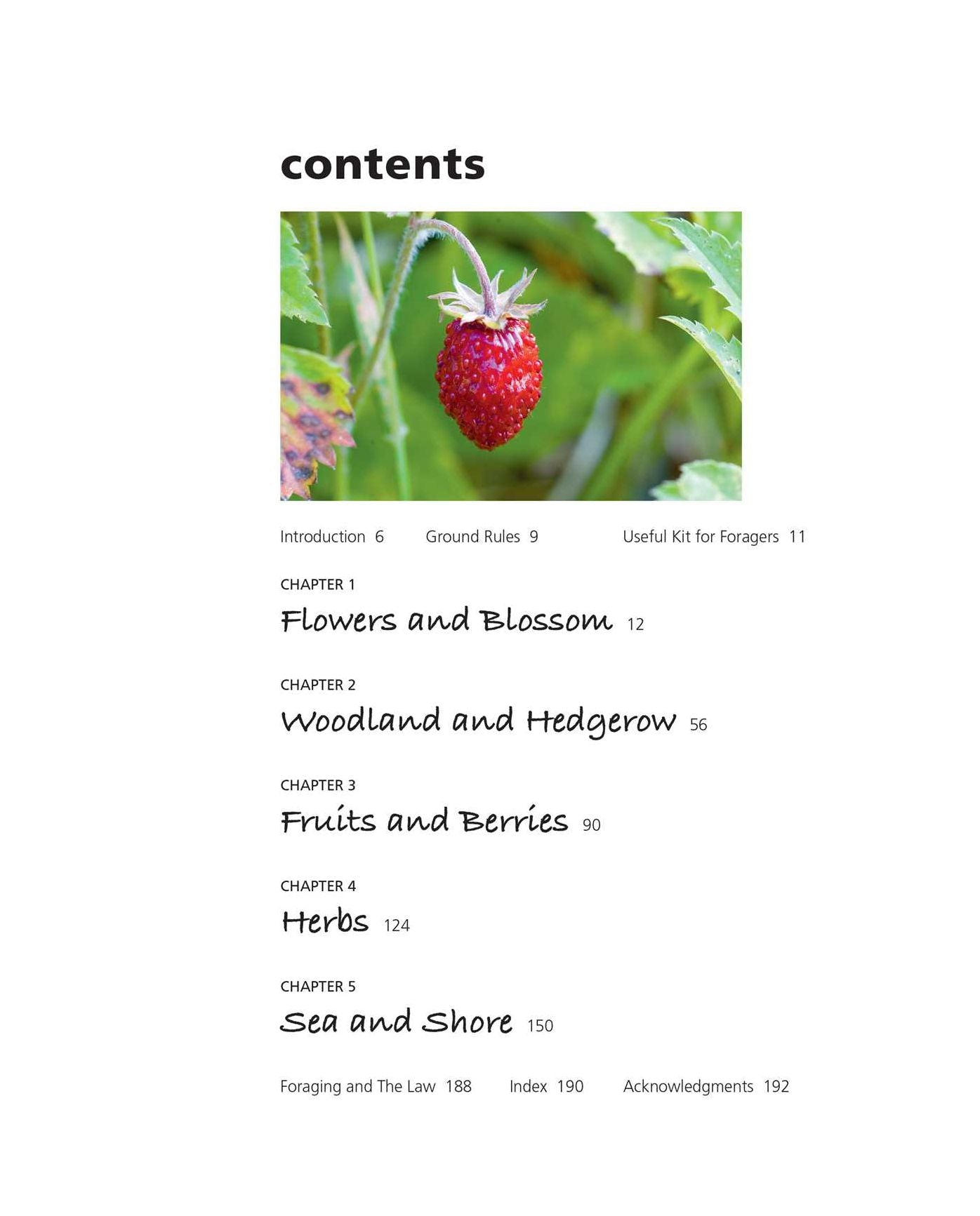 The Forager's Kitchen: Over 100 field-to-table recipes