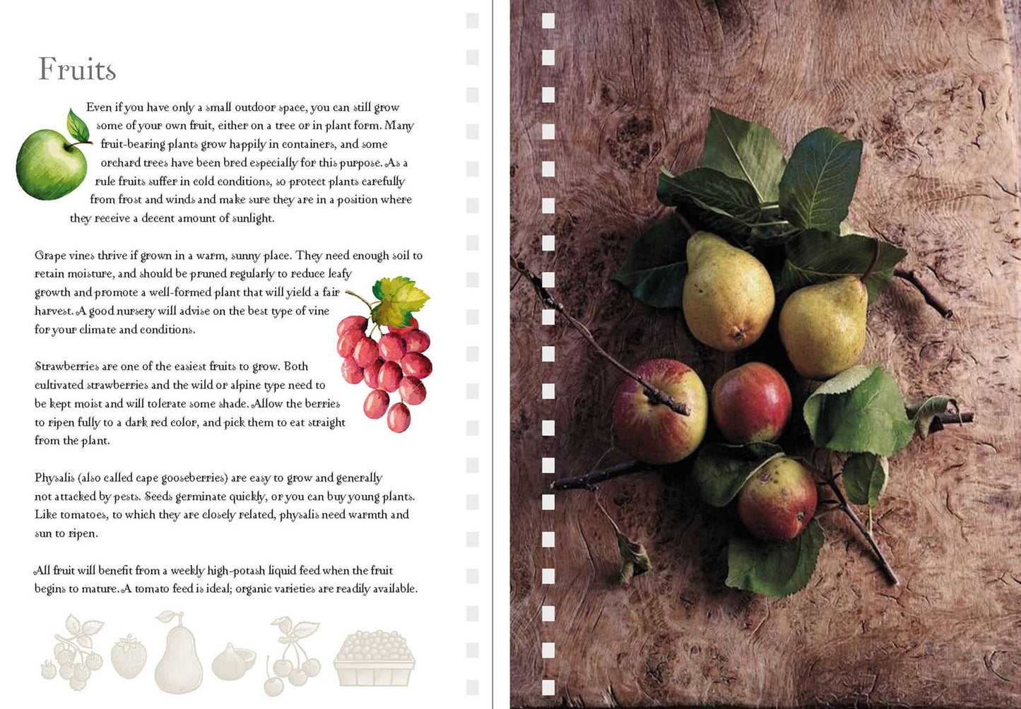 My Gardening Journal and Planner